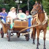 toplisnocno_7.jpg