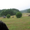 img_0161_000.jpg
