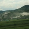 to__a_sevnica__bo__tanj____entjan__014.jpg