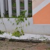 nalagam_2338.jpg