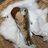 img_7890_000.jpg
