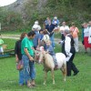 svibno_20100063_1.jpg