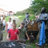 svibno_20100054_1.jpg