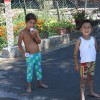 img_6754.jpg