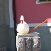 img_6755.jpg