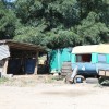 img_6762.jpg