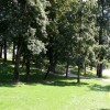img_0475.jpg