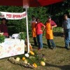 artice_20100016.jpg