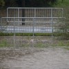 poplave_cesta.jpg