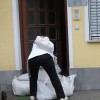 img_7405_000.jpg