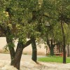 poplave_v_sevniski_obcini034.jpg