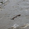 img_7609_000.jpg