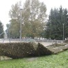 img_7723_000.jpg