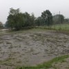 img_7722_000.jpg