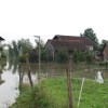 dsc_0037_000.jpg