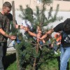 img_1675.jpg