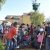 zasaditev_javorja21__9_10_014.jpg