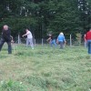img_0731.jpg