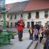gozdna_pot_visnja_gora_112.jpg