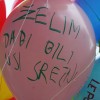 balonii00004.jpg