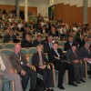 rjave_krave0009_1.jpg