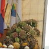 krajevni_praznik_ks_sentjanz_puslca_dolenjske2010035.jpg