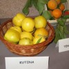 img_2829_000.jpg