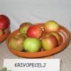 img_2823_000.jpg