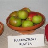 img_2822_000.jpg