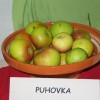 img_2821_000.jpg