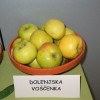 img_2815_000.jpg