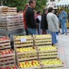 img_2832_000.jpg