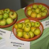 img_2827_000.jpg