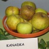 img_2817_000.jpg