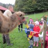 ranc_aladin_oktober_2010_639.jpg