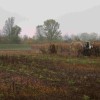 img_1533_000.jpg
