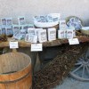 vino_ajda0017_1.jpg