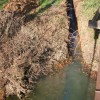 img_9245_000.jpg