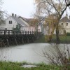 vesnai0009.jpg