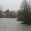 vesnai0001.jpg