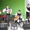 ansambel_roka_zlindre_2010.jpg