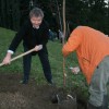 sevniska_voscenka_na_dunajskem_in_anglespkem_dvoru017.jpg