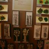 sevniska_voscenka_na_dunajskem_in_anglespkem_dvoru043.jpg