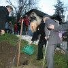 sevniska_voscenka_na_dunajskem_in_anglespkem_dvoru009.jpg