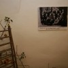 sevniska_voscenka_na_dunajskem_in_anglespkem_dvoru092.jpg