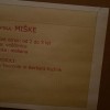 sevniska_voscenka_na_dunajskem_in_anglespkem_dvoru038.jpg