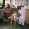 img_3800_1_.jpg