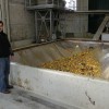 pc030287.jpg