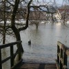 poplave00070.jpg