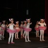 harlekin00010.jpg